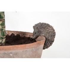 Hedgehog Plant Pot Hanger