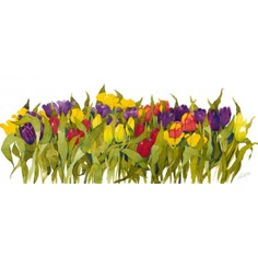 Mary Ann Rogers Limited Edition Spring Tulips Print