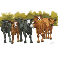 Mary Ann Rogers Limited Edition "Fat Cattle" Print