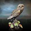 Richard Cooper Limited Edition Barn Owl & Hawthorn Bronze Sculpture additional 2