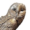 Richard Cooper Limited Edition Barn Owl & Hawthorn Bronze Sculpture additional 3