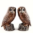 Quail Ceramics Tawny Owl Salt & Pepper Shakers additional 1