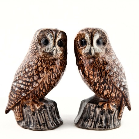 Quail Ceramics Tawny Owl Salt & Pepper Shakers