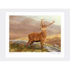 Limited Edition Print by Robert E Fuller - Red Stag