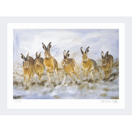 Limited Edition Print by Robert E Fuller - Hare Today Gone Tomorrow