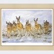 Limited Edition Print by Robert E Fuller - Hare Today Gone Tomorrow additional 2