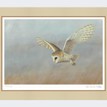 Limited Edition Print by Robert E Fuller - Barn Owl on Lookout additional 2