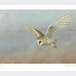 Limited Edition Print by Robert E Fuller - Barn Owl on Lookout additional 1