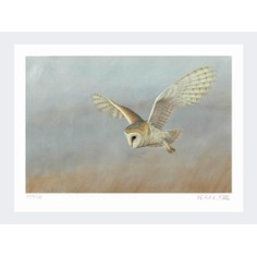 Limited Edition Print by Robert E Fuller - Barn Owl on Lookout