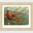 Limited Edition Print by Robert E Fuller - Pheasants in Bluebells additional 2