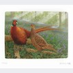 Limited Edition Print by Robert E Fuller - Pheasants in Bluebells additional 1
