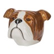 Quail Ceramics English Bulldog Face Egg Cup additional 1