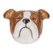 Quail Ceramics English Bulldog Face Egg Cup additional 2