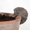 Hedgehog Plant Pot Hanger additional 1