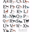 Claire Alice Designs A to Z Dog Breeds Tea Towel additional 2