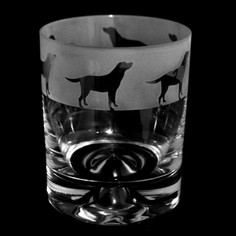 Animo Labrador Whisky Glass Tumbler