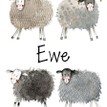 Alex Clark Notes For Ewe Magnetic List additional 3
