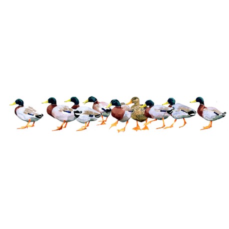 Mary Ann Rogers Limited Edition "Outnumbered" Duck Print