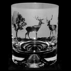 Animo Woodland Stag Whisky Glass Tumbler