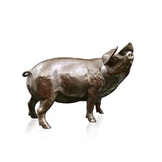 Limited Edition - Medium Gloucester Old Spot Pig Bronze Sculpture