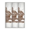 Thornback & Peel Set of 3 Brown Rabbit Handkerchiefs additional 2