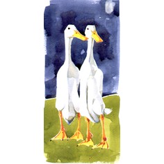 Mary Ann Rogers Limited Edition "Twins" Duck Print