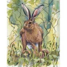 Mary Ann Rogers Limited Edition "Vigilant" Hare Print
