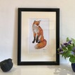 Mary Ann Rogers Limited Edition "Unconcerned" Fox Print additional 2