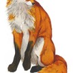 Mary Ann Rogers Limited Edition "Unconcerned" Fox Print additional 1