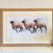 Mary Ann Rogers Limited Edition "Feeding Time" Sheep Print additional 2