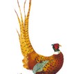 Mary Ann Rogers Limited Edition "Ruffled Pheasant" Print additional 1