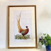Mary Ann Rogers Limited Edition "Ruffled Pheasant" Print additional 2