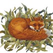 Mary Ann Rogers Limited Edition "Lying Low" Fox Print additional 1