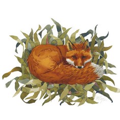 Mary Ann Rogers Limited Edition "Lying Low" Fox Print