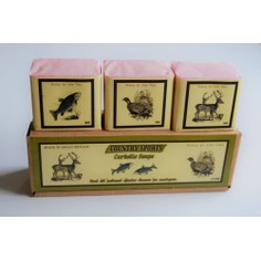 Country Sports Carbolic Soap Gift Box