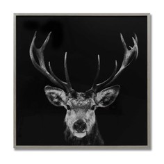 Dark Stag Glass Image with Silver Frame