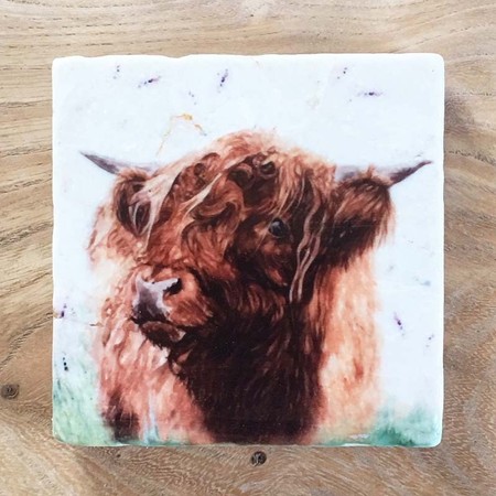 Cow Marble Coasters 