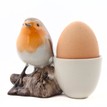 Quail Ceramics Robin Egg Cup additional 2