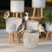 Woodpecker Bird Plant Pot Hanger additional 2