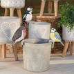 Woodpecker Bird Plant Pot Hanger additional 3