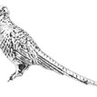 Standing Pheasant Pewter Lapel Pin additional 1