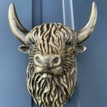 Highland Cow Door Knocker - Antique Brass additional 1