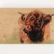 Wooden Chopping Board - Highland Cow additional 1