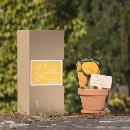 Personalised Birth Flower Seed Box and Terracotta Pot