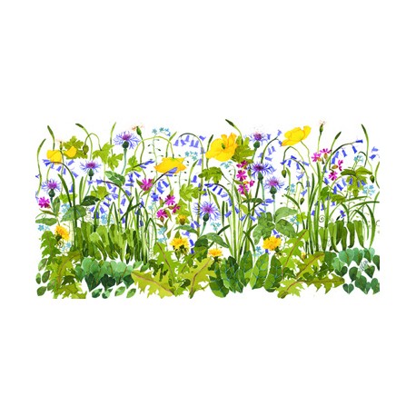 Mary Ann Rogers Limited Edition Spring Flowers Print