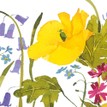 Mary Ann Rogers Limited Edition Spring Flowers Print additional 2