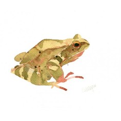 Mary Ann Rogers Limited Edition Frog Print