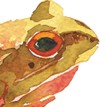 Mary Ann Rogers Limited Edition Frog Print additional 2