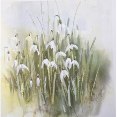 Mary Ann Rogers Limited Edition Snowdrops Print