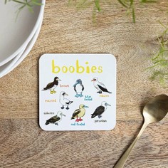 Sarah Edmonds Boobies Birds Coaster